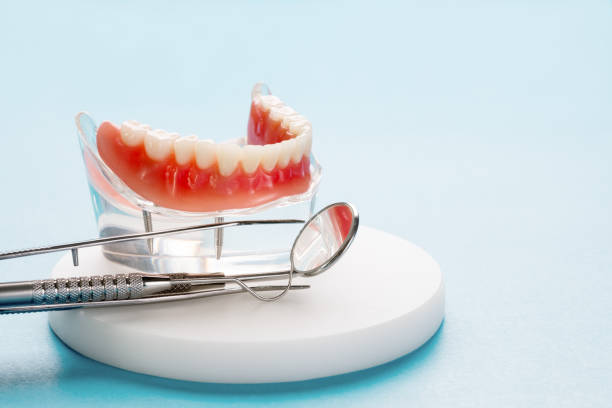 Best Pediatric Dentistry  in Fort Belknap Agency, MT